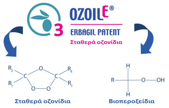 Ναture Between Science & Wisdom